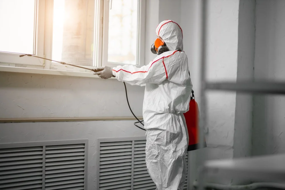 Professional mold remediation services in Montville, NJ